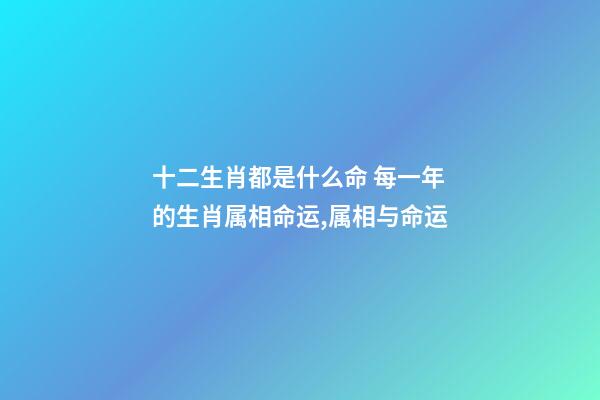 十二生肖都是什么命 每一年的生肖属相命运,属相与命运-第1张-观点-玄机派